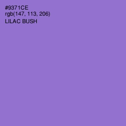 #9371CE - Lilac Bush Color Image