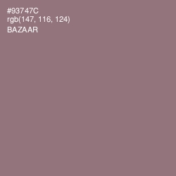 #93747C - Bazaar Color Image
