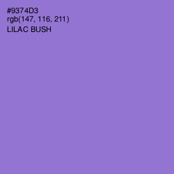 #9374D3 - Lilac Bush Color Image