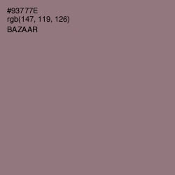 #93777E - Bazaar Color Image