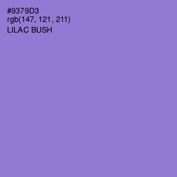 #9379D3 - Lilac Bush Color Image