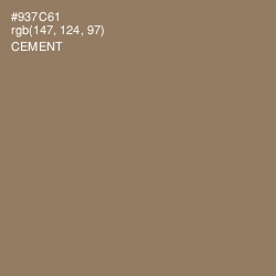 #937C61 - Cement Color Image