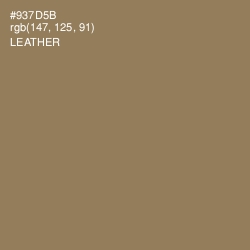 #937D5B - Leather Color Image