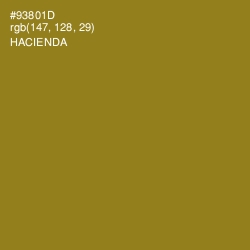 #93801D - Hacienda Color Image