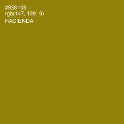 #938109 - Hacienda Color Image