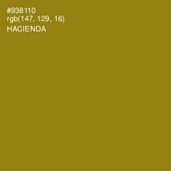 #938110 - Hacienda Color Image
