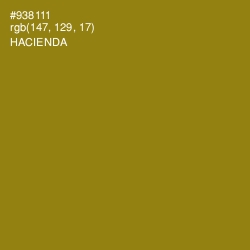 #938111 - Hacienda Color Image