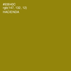 #93840C - Hacienda Color Image