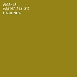 #938415 - Hacienda Color Image