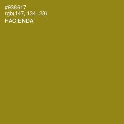 #938617 - Hacienda Color Image