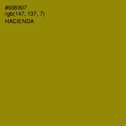 #938907 - Hacienda Color Image