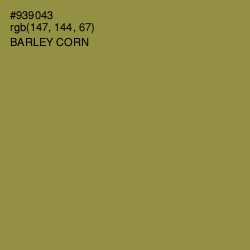 #939043 - Barley Corn Color Image
