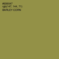 #939047 - Barley Corn Color Image