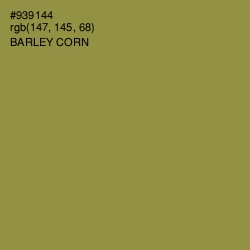 #939144 - Barley Corn Color Image