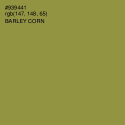 #939441 - Barley Corn Color Image