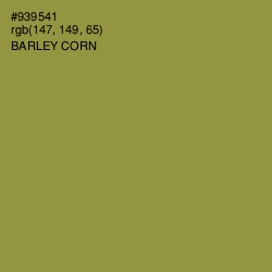 #939541 - Barley Corn Color Image