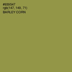 #939547 - Barley Corn Color Image