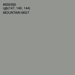 #939590 - Mountain Mist Color Image