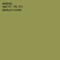 #939651 - Barley Corn Color Image