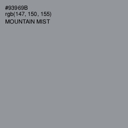 #93969B - Mountain Mist Color Image
