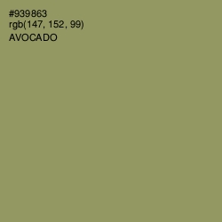 #939863 - Avocado Color Image
