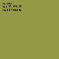 #939944 - Barley Corn Color Image