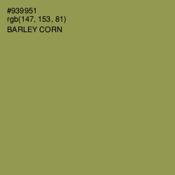 #939951 - Barley Corn Color Image