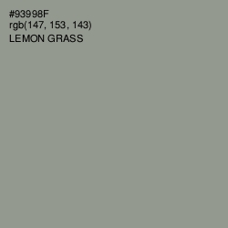 #93998F - Lemon Grass Color Image