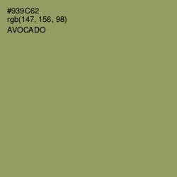#939C62 - Avocado Color Image