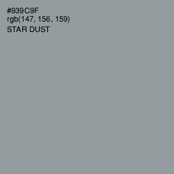 #939C9F - Star Dust Color Image