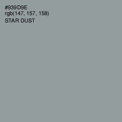 #939D9E - Star Dust Color Image