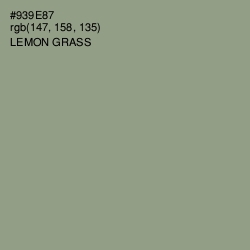 #939E87 - Lemon Grass Color Image