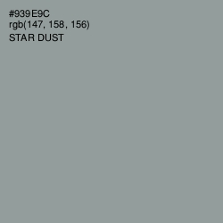 #939E9C - Star Dust Color Image