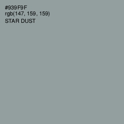 #939F9F - Star Dust Color Image