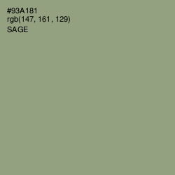 #93A181 - Sage Color Image