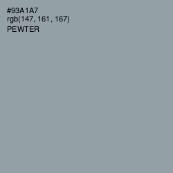 #93A1A7 - Pewter Color Image