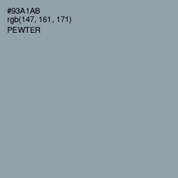 #93A1AB - Pewter Color Image