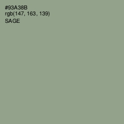 #93A38B - Sage Color Image