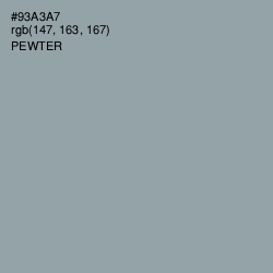 #93A3A7 - Pewter Color Image