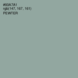 #93A7A1 - Pewter Color Image