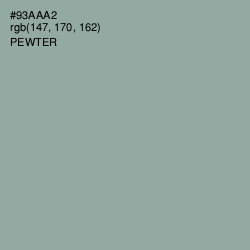 #93AAA2 - Pewter Color Image