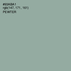 #93ABA1 - Pewter Color Image
