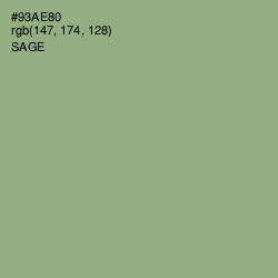 #93AE80 - Sage Color Image