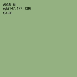 #93B181 - Sage Color Image