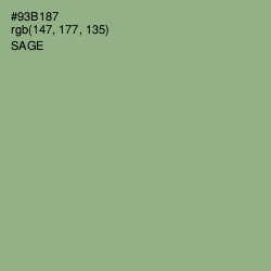 #93B187 - Sage Color Image