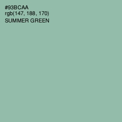 #93BCAA - Summer Green Color Image