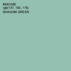 #93C0B0 - Shadow Green Color Image