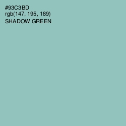 #93C3BD - Shadow Green Color Image