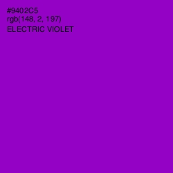 #9402C5 - Electric Violet Color Image