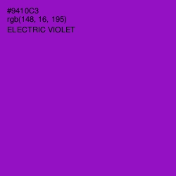 #9410C3 - Electric Violet Color Image